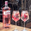 GIN0036-02-gordons-pink.jpg